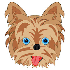 Image showing Dog Yorkshire Terrier on white background is insulated