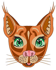 Image showing Steepe trot caracal on white background is insulated