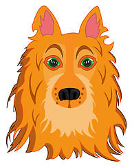Image showing Vector illustration of the mug of the dog of the sort collie