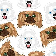 Image showing Dogs poodle and pekingese pattern on white background