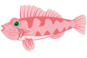 Image showing Sea perch on white background is insulated
