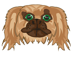 Image showing Vector illustration of the mug of the dog pekingese