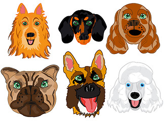 Image showing Vector illustration portrait dogs of the varied sorts