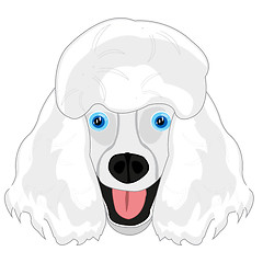 Image showing Dog poodle mug on white background is insulated