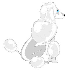 Image showing Vector illustration of the sitting dog of the sort poodle