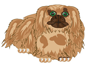 Image showing Vector illustration of the dog of the sort pekingese