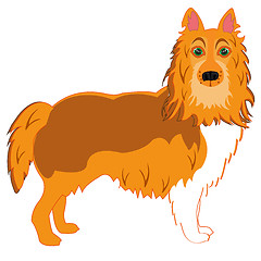 Image showing Vector illustration of the dog of the sort collie