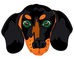 Image showing Vector illustration of the portrait of the dog dachshund