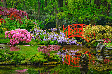 Image showing Japanese garden, Park Clingendael, The Hague, Netherlands