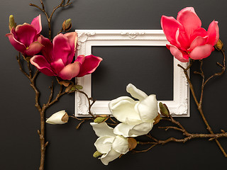 Image showing some magnolia flowers on a black background