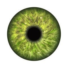 Image showing dark green human iris