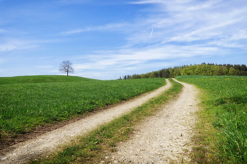 Image showing path in a green meadow nature scenery landscape