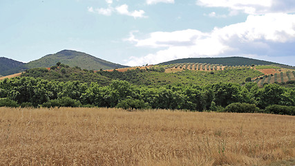 Image showing Greece Landscape