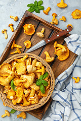 Image showing Wild chanterelles in a wicker basket close-up.