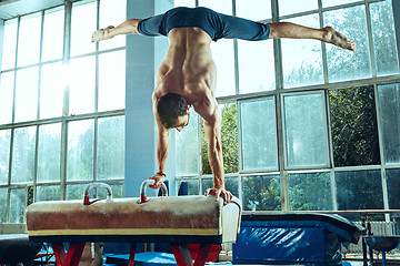 Image showing The sportsman during difficult exercise, sports gymnastics