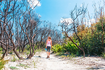 Image showing Female walking through burnt bushland that has not regenerated