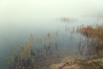 Image showing Fog on the lakeside