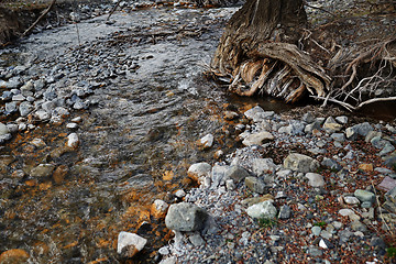 Image showing River bed with rocky stones and old tree