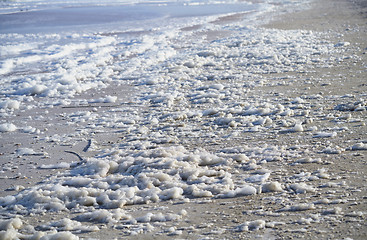 Image showing Sea foam on the coast at Pacific Ocean