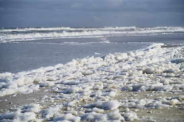 Image showing Sea foam on the coast at Pacific Ocean