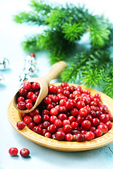 Image showing cranberries