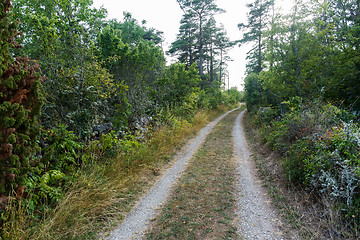 Image showing Narrow gravel road in the countryside by summer season