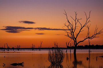 Image showing Silhouettes on the lake outback sunset