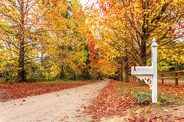 Image showing Shades of autumn in countryside village