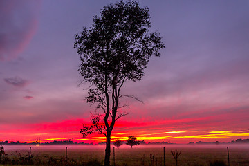 Image showing Red dawn skies across rural fields in Australian countryside