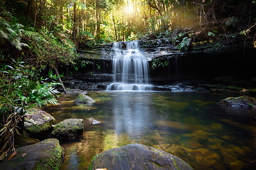 Image showing Bushland waterfall and oasis