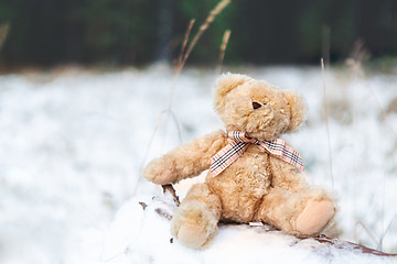 Image showing Teddy bear on a snow covered log in winter