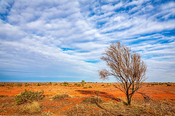 Image showing Australian outback landscape