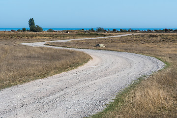 Image showing Winding dirt road in a dry grassland at the swedish island Oland