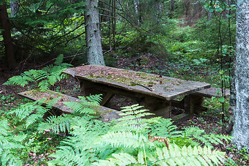 Image showing Old mossy resting place deep in a forest