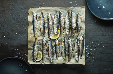 Image showing Sardines fish