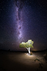 Image showing Desert tree under night sky milky way universe