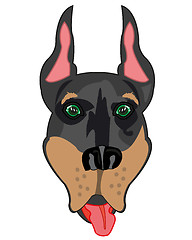 Image showing Vector illustration of the mug of the dog doberman