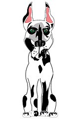 Image showing Cartoon spotted dobermana on white background is insulated