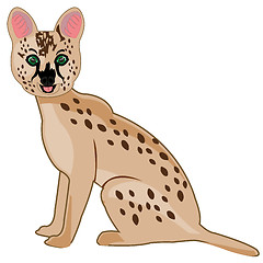 Image showing African cat serval on white background is insulated