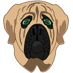 Image showing Vector illustration of the cartoon of the mug of the dog mastiff