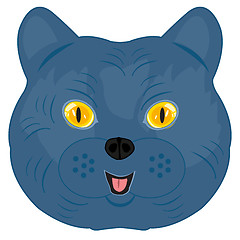 Image showing British cat on white background is insulated