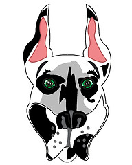 Image showing Vector illustration of the mug of the dog spotted doberman