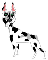 Image showing Dog spotted doberman on white background is insulated