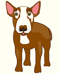 Image showing Dog bull terrier on white background is insulated