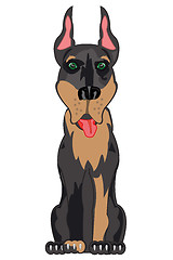 Image showing Dog doberman on white background is insulated