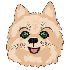 Image showing Vector illustration of the portrait of the dog spitz