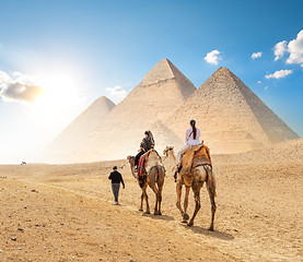 Image showing Camels in sandy desert