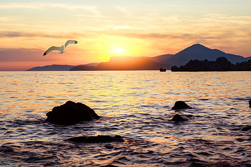 Image showing Sunset in adriatic sea