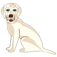 Image showing Vector illustration of the dog of the sort labrador