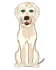 Image showing Vector illustration of the sitting dog labrador